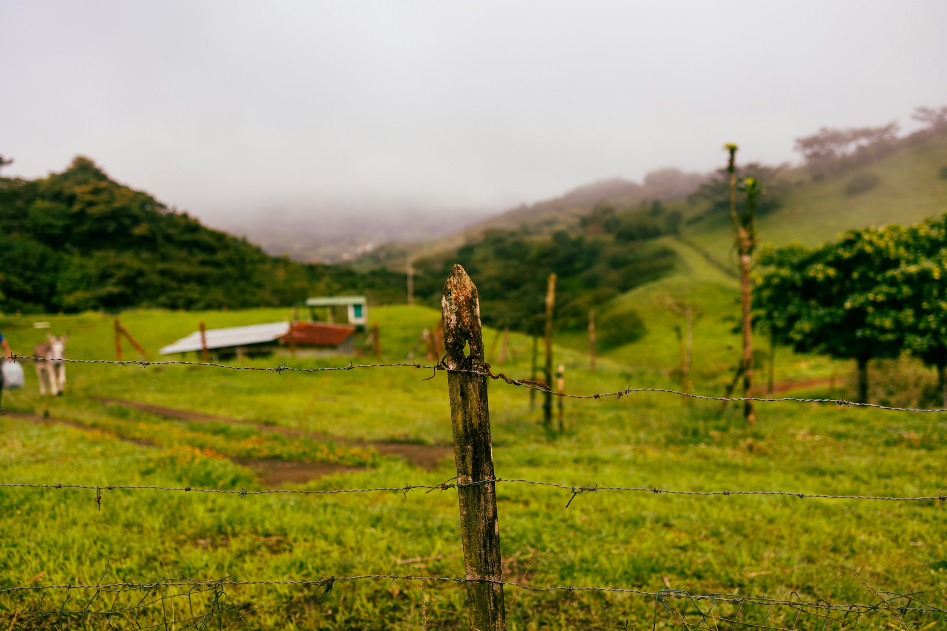 Meio Rural Guia Programa Nacional de Habitação Rural (PNHR)